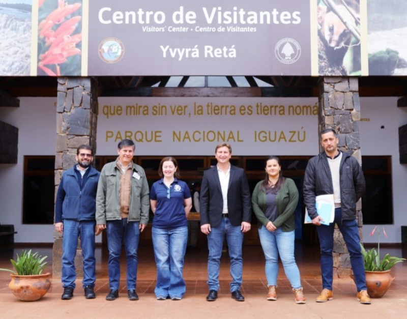 el atropellamiento de fauna en Misiones