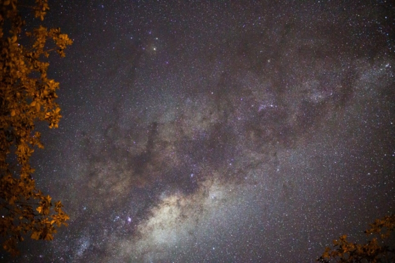 turismo, medio ambiente y arte