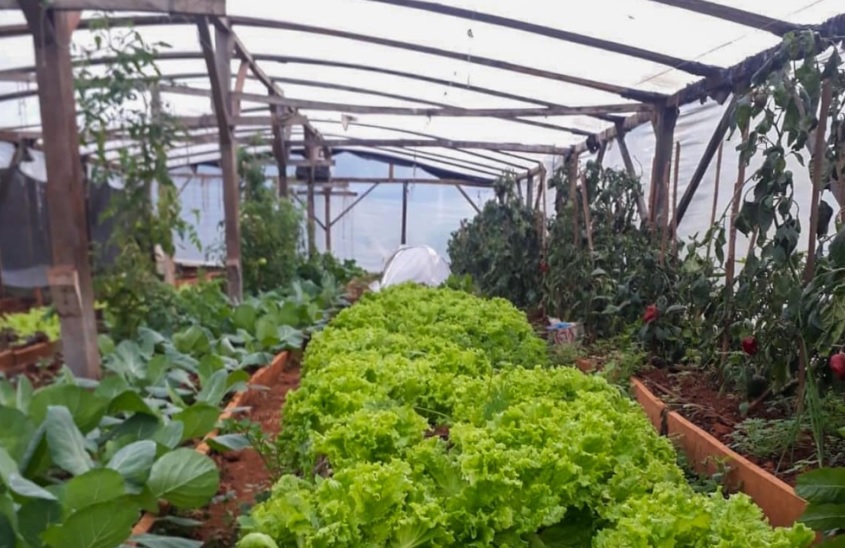 Agricultura Inteligente Bajo Cubierta