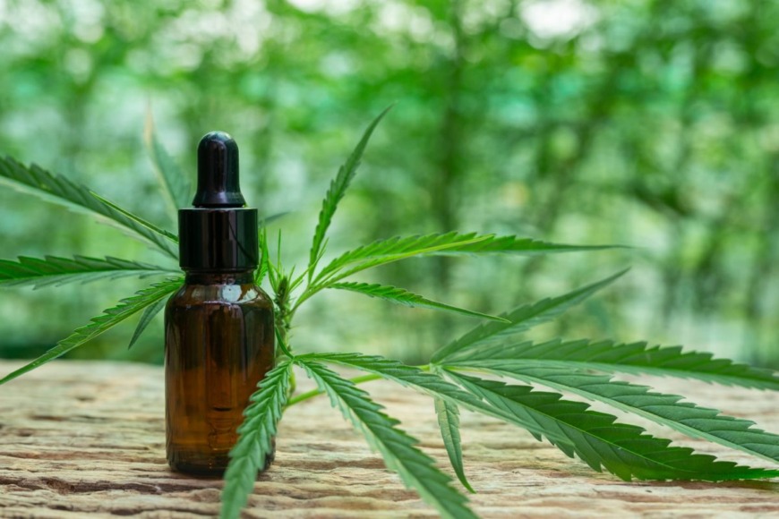 Cannabis medicinal