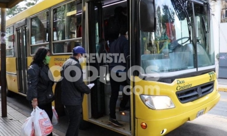 Continúa en pie el paro