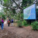 El fin de semana largo 2 - 7