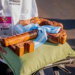 Estudiantina 2022 6 - 13