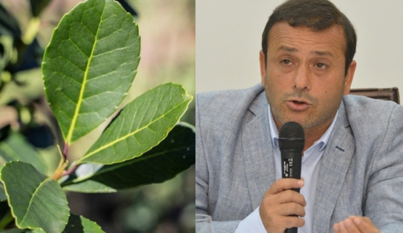 Herrera destacó el incremento