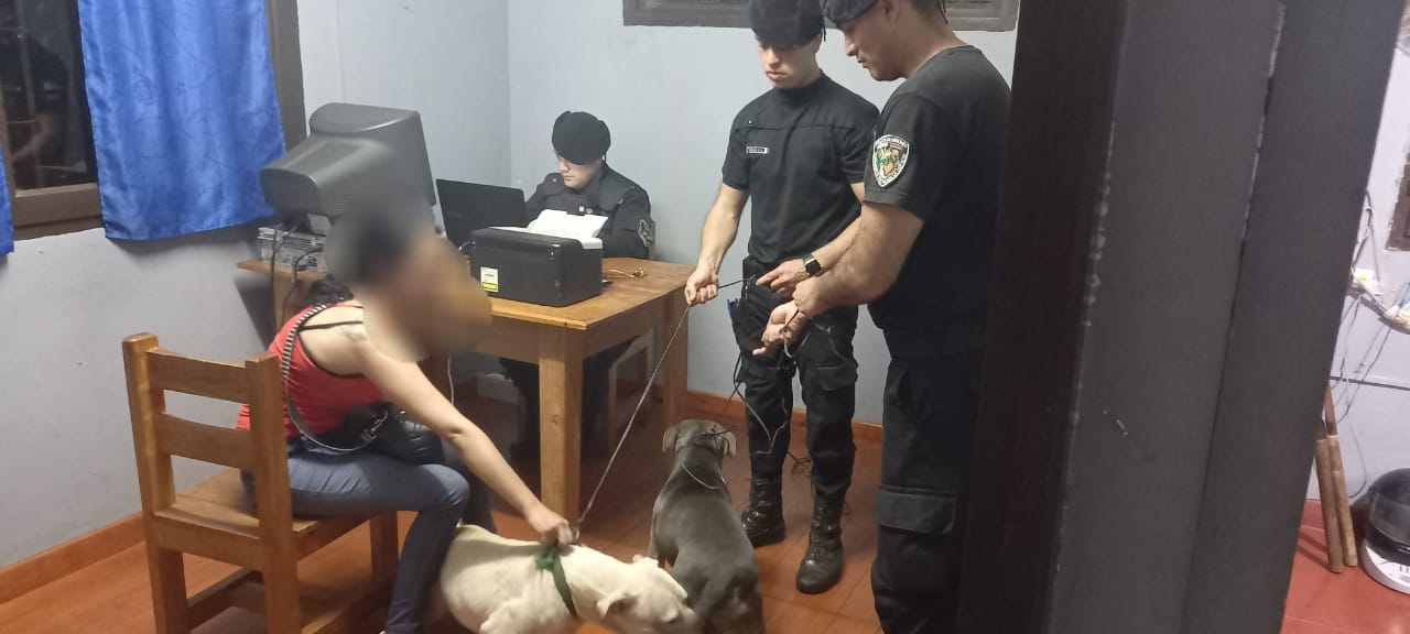 Rescataron animales silvestres heridos y recuperaron dos perros robados 3 6 - IMG 20221026 WA0101 - 5