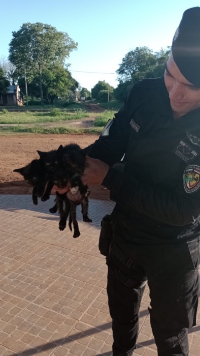 Rescataron animales silvestres heridos y recuperaron dos perros robados 2 4 - IMG 20221026 WA0104 - 3