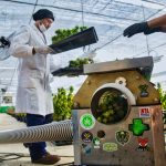 La Biofabrica arranca la etapa 1 - 1