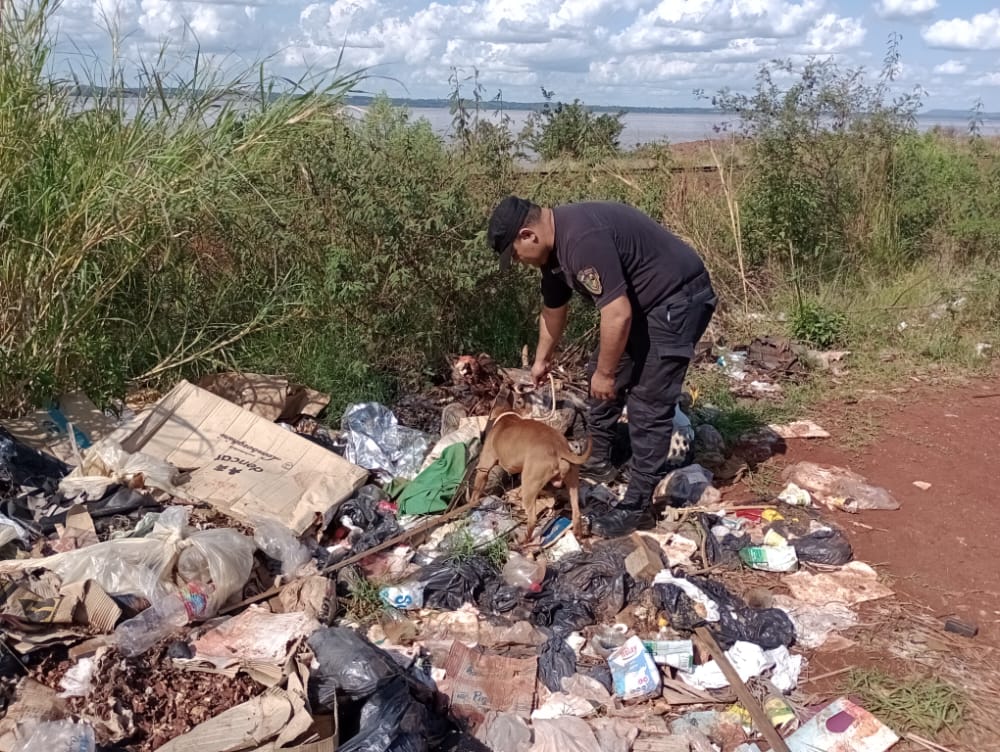 Abandonaron a un Pitbull en un basural y policías lo resguardaron en la comisaría 2 4 - Pitbull en un basural - 3