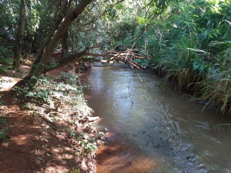 Tragedia en Andresito