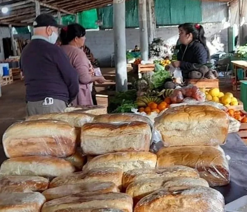 alimentos frescos y saludables 1 - 1