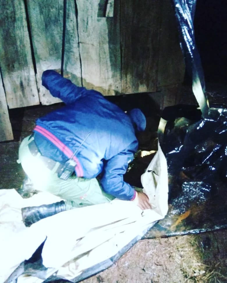 chicos rescatados 3 - 5