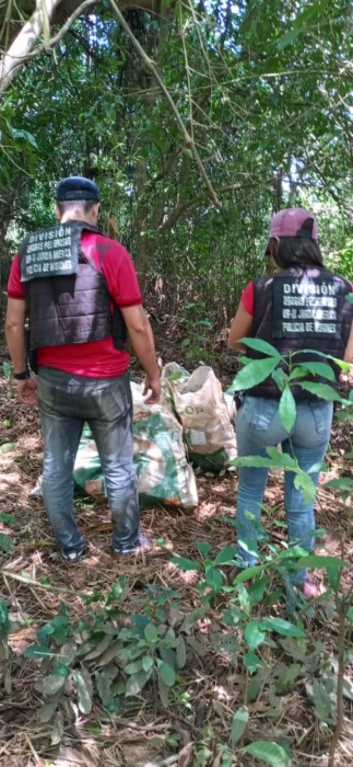 droga incautada 1 - 1