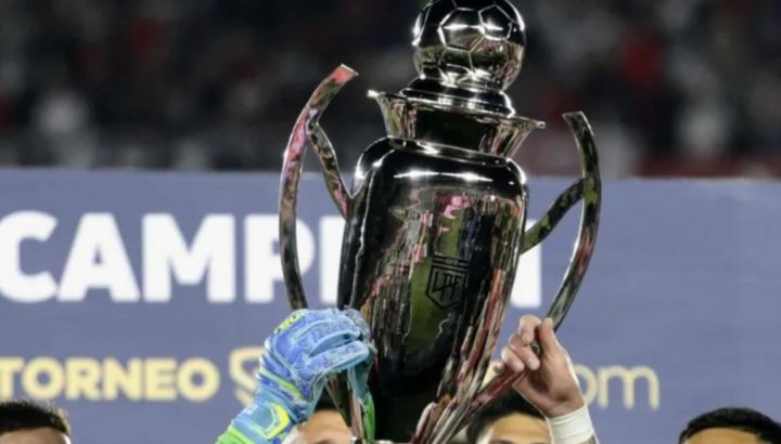 Liga profesional
