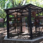 Inauguraron un meliponario en el Jardín Botánico de Posadas 2 4 - meliponario en Posadas 3 - 3