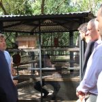 Inauguraron un meliponario en el Jardín Botánico de Posadas 1 2 - meliponario en Posadas 4 - 1