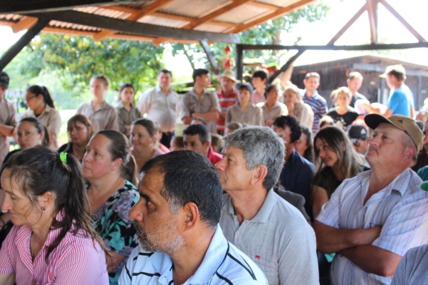 produccion de jengibre 1 - 1