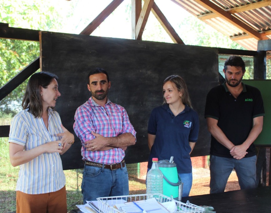 produccion de jengibre 2 - 3