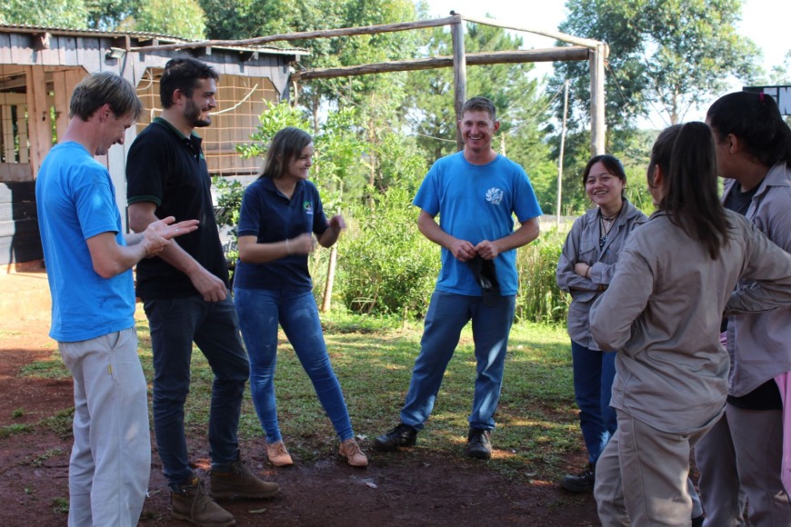 produccion de jengibre 3 - 5