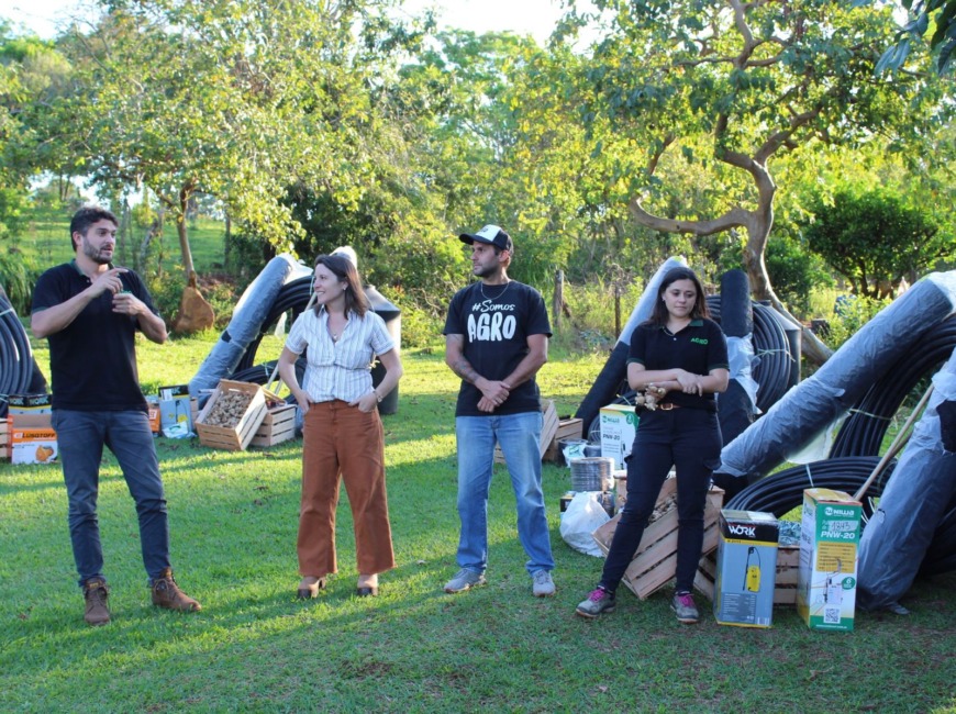 produccion de jengibre 4 - 7