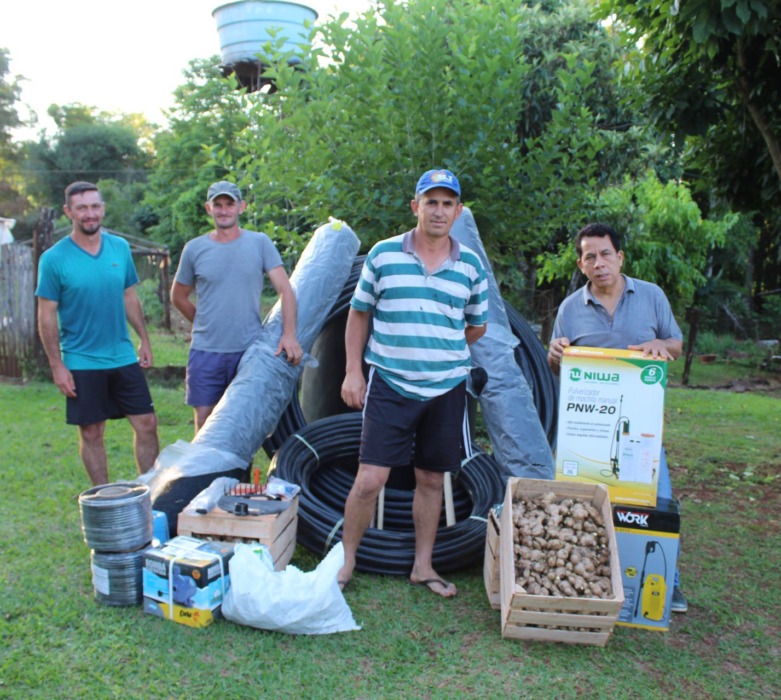 produccion de jengibre 5 - 9