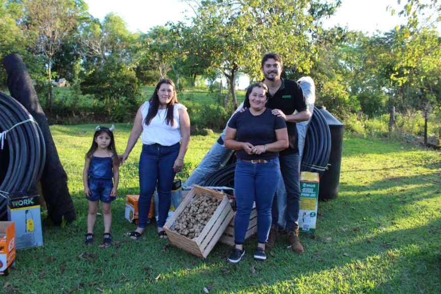 producción de jengibre
