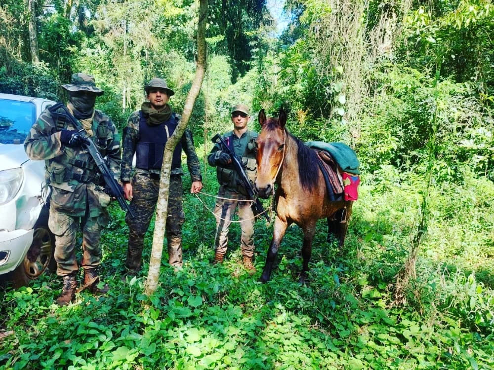 Atraparon a tres cazadores furtivos en la reserva Yabotí y secuestraron armas de fuego