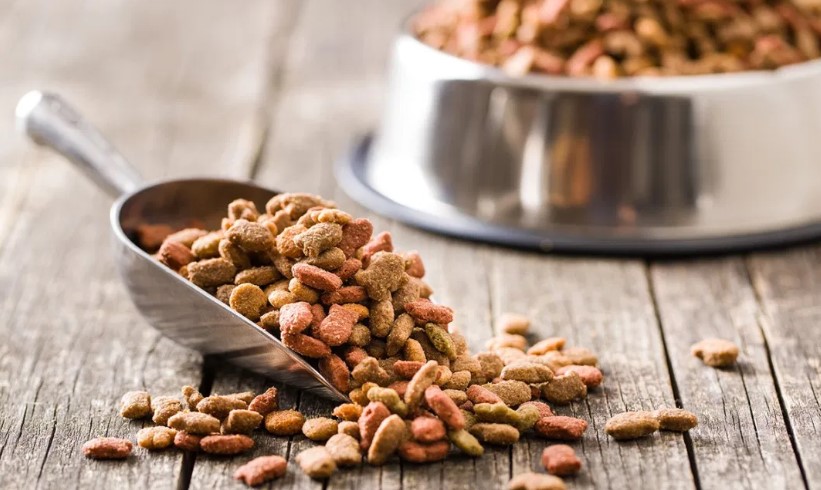 alimentos para mascotas