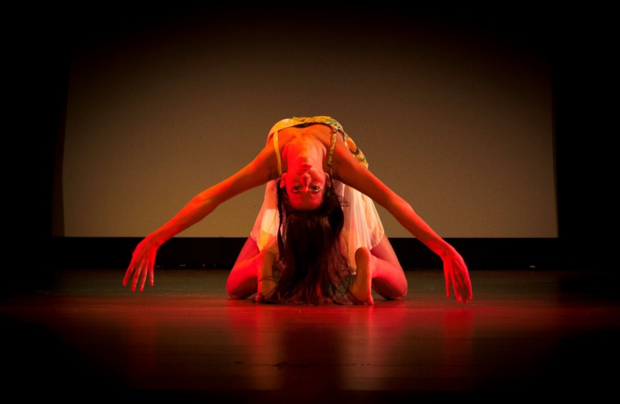 Circuito del Conocimiento