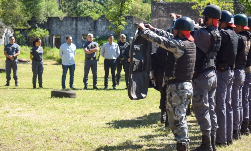 Cursos de Escudos 3 - 5