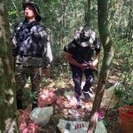 Desmantelaron un campamento de cazadores 1 - 1