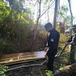Desmantelaron un campamento de cazadores 2 - 3