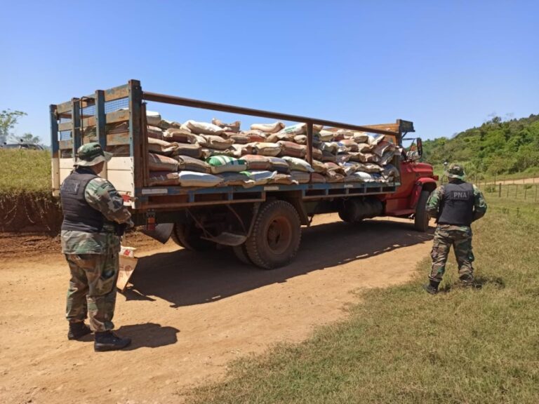 El Soberbio: secuestraron casi 7 mil toneladas de soja ilegal