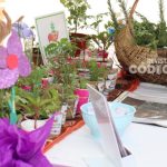 Exitoso cierre de la Expo Abordaje de los Consumos Problemáticos y las Adicciones en Posadas 2 4 - Exitoso cierre de la Expo 2 - 3