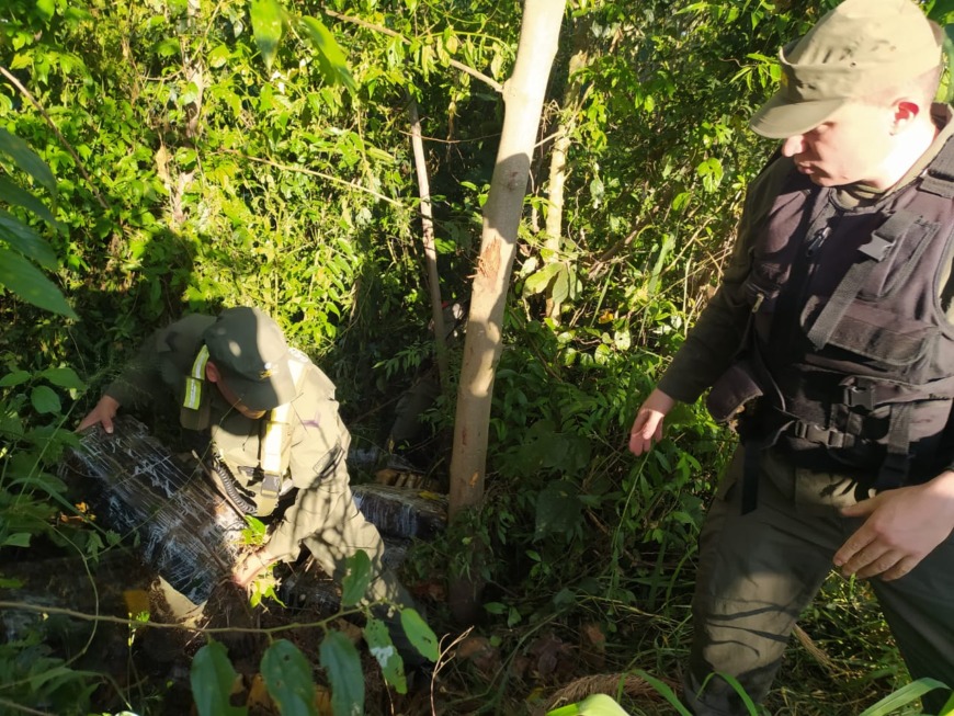 Misiones gendarmes hallaron más de
