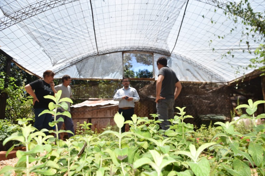 Nodos de Agregado de Valor 2 - 3