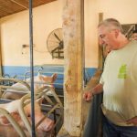 Profundidad: Passalacqua y Cesino visitaron establecimiento porcino para conocer el proceso de producción 2 4 - Profundidad Passalacqua y Cesino visitaron 2 - 3