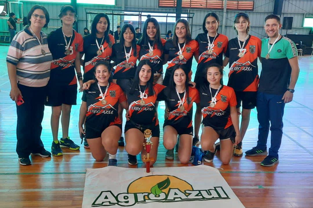 Representantes misioneras llegaron al podio en el Intercolegial del Norte Grande de vóley en Chaco 1 1 - Representantes misioneras llegaron al podio 1