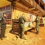 Secuestraron madera nativa extraida y 1 - 1