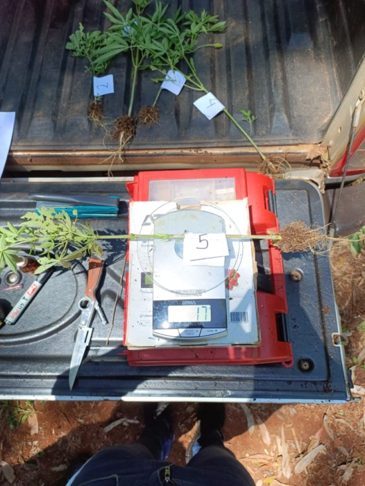 Secuestro de elementos 3 - 1