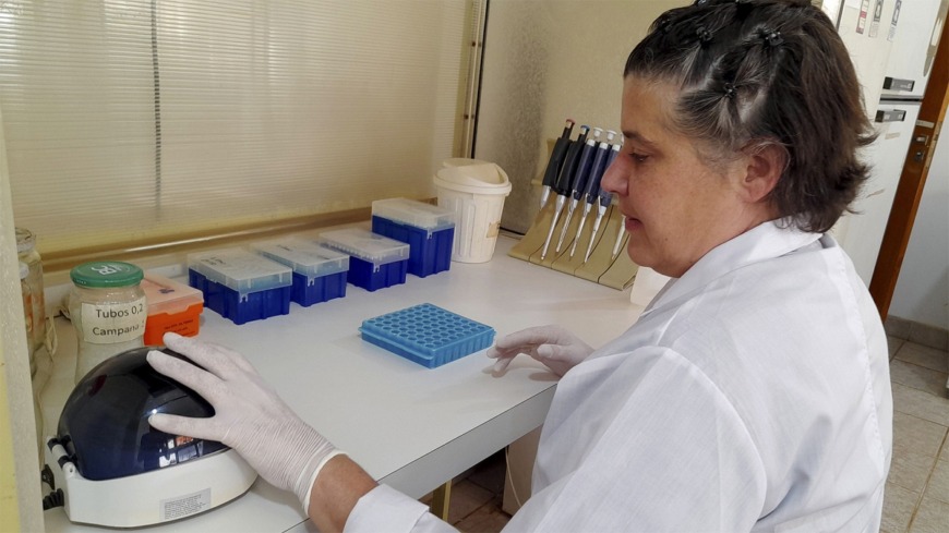 Investigan las mutaciones del tipo más agresivo del Virus de Papiloma Humano en Misiones 1 2 - Virus Papiloma Humano 2 - 1