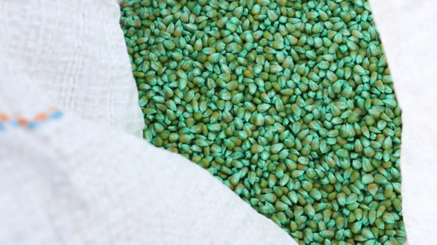 Apoyo a la producción ganadera misionera: el Agro distribuye alimento animal 3 5 - apoyo a la produccion 3 - 4