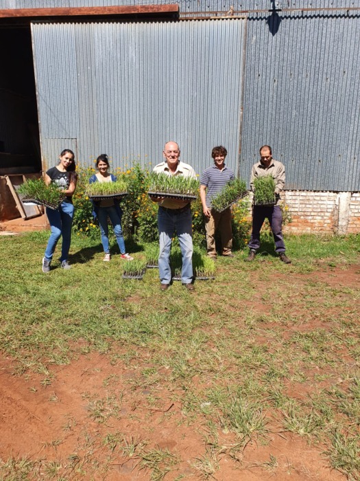 entrega de plantines 2 1 - 1