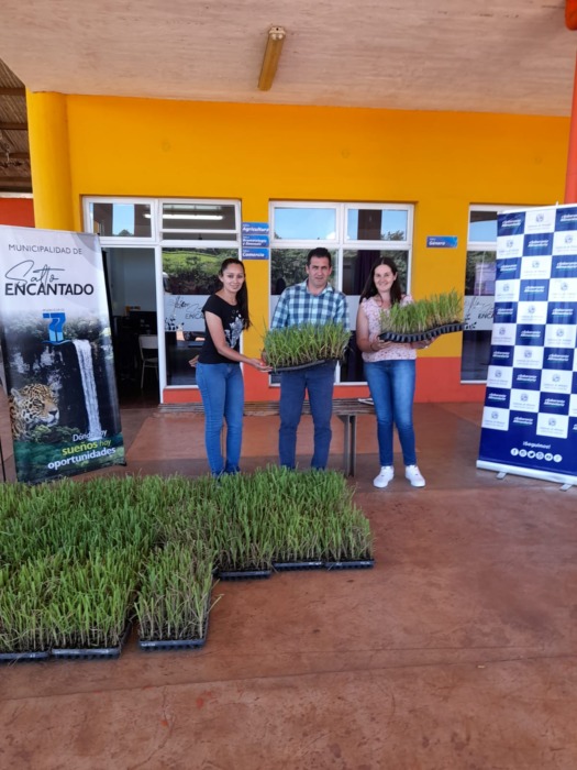 Entregaron 10 mil plantines de caña de azúcar a productores agroecológicos misioneros 3 6 - entrega de plantines 2 3 - 5