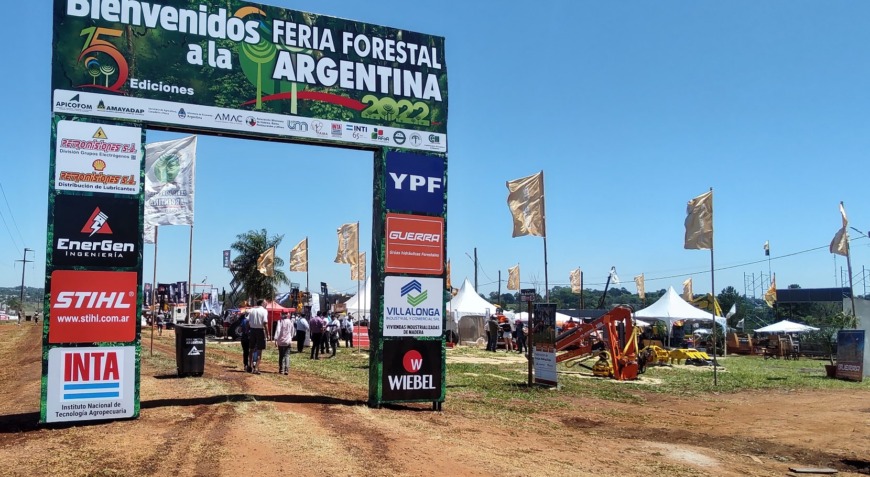 feria forestal