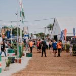 fiesta de la madera 11 - 16