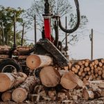 fiesta de la madera 7 - 8