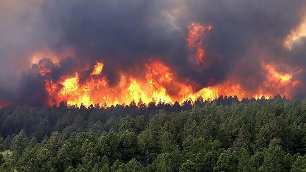 incendios en misiones