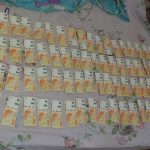 Desbarataron dos talleres mecánicos donde adulteraban motos robadas en Posadas 1 2 - ladrones detendos 1 - 1