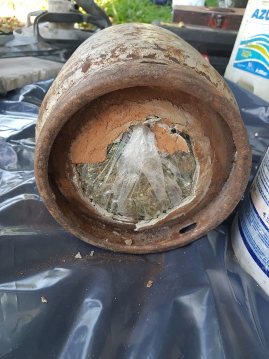 marihuana en auto 3 - 1