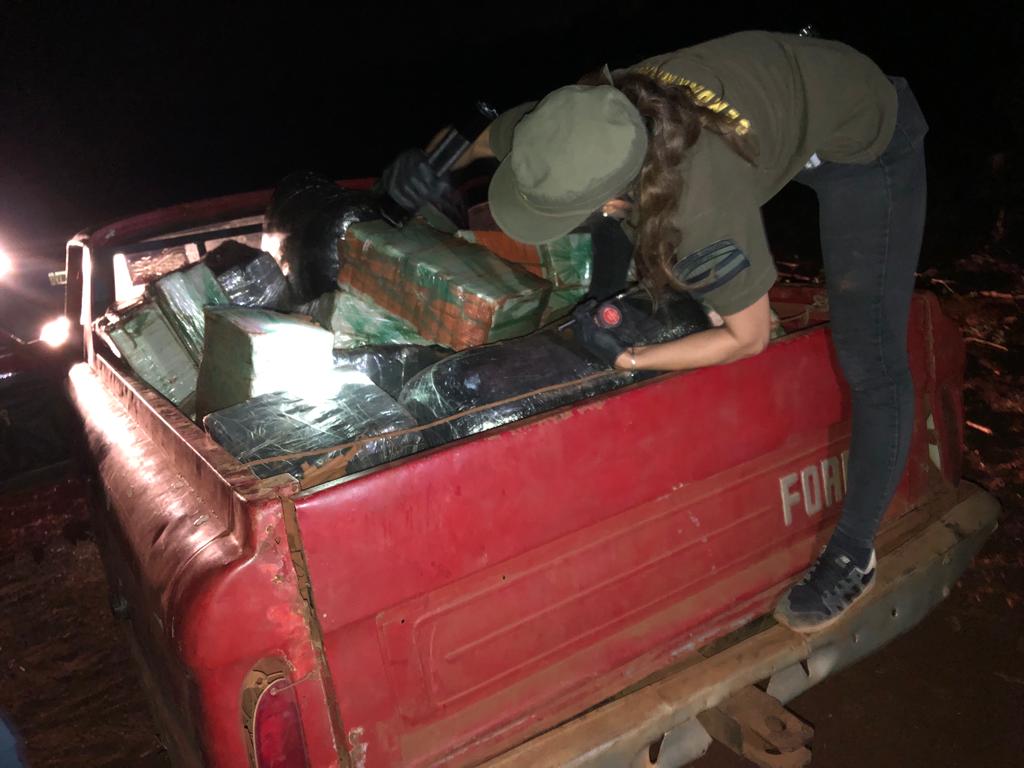 marihuana incautada2 - 1